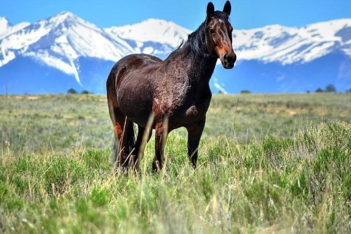trail rides colorado