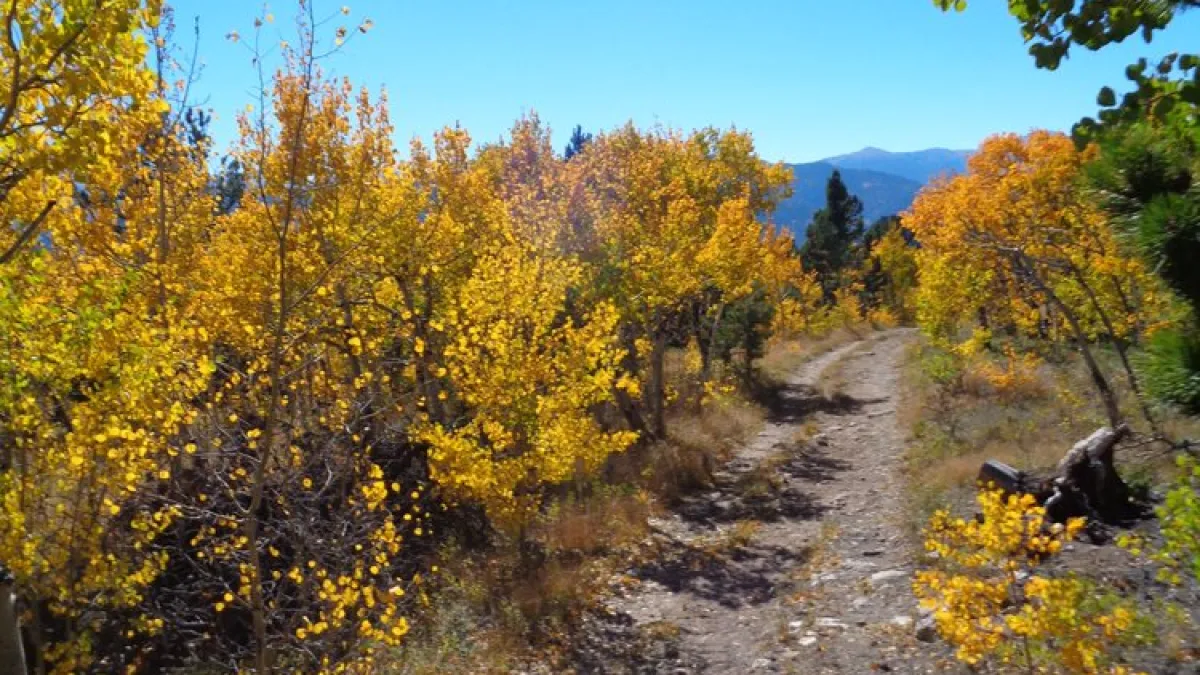 horseback riding in idaho springs colorado