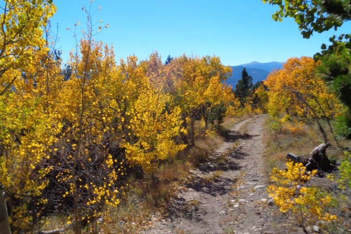 horseback riding in idaho springs colorado