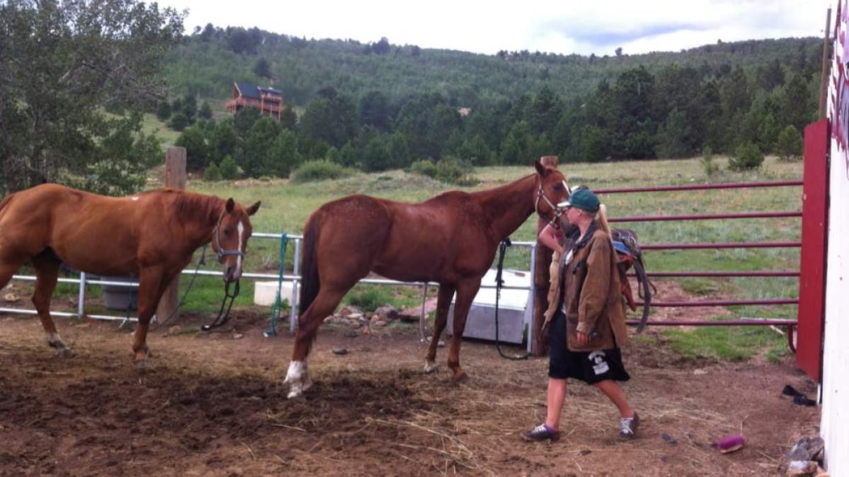 horseback riding near denver colorado