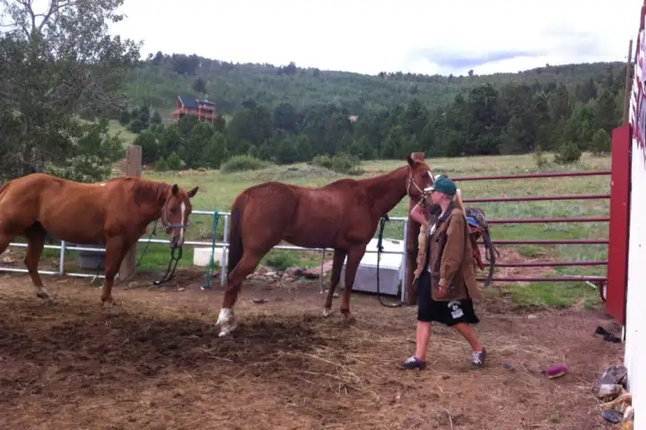 horseback riding near denver colorado