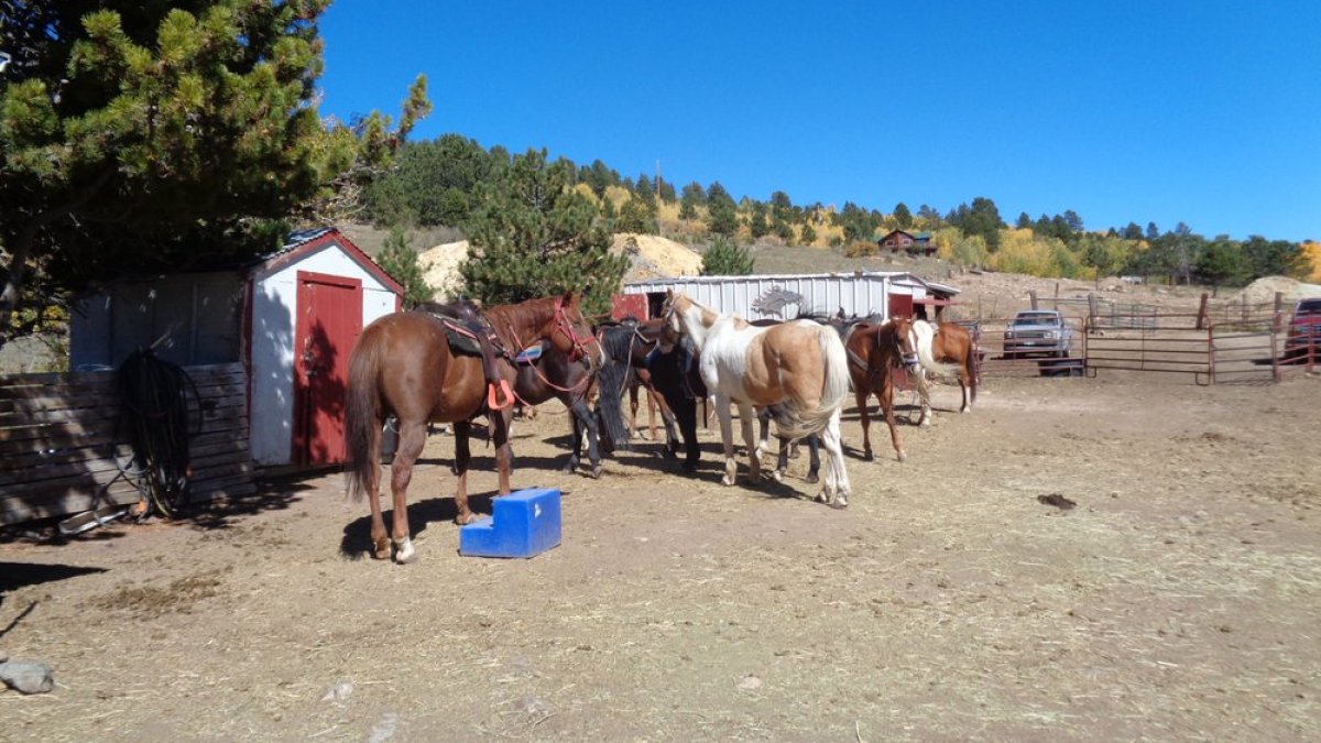 colorado horse trail rides