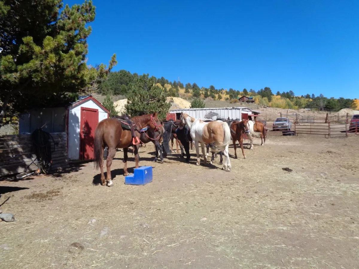 colorado horse trail rides