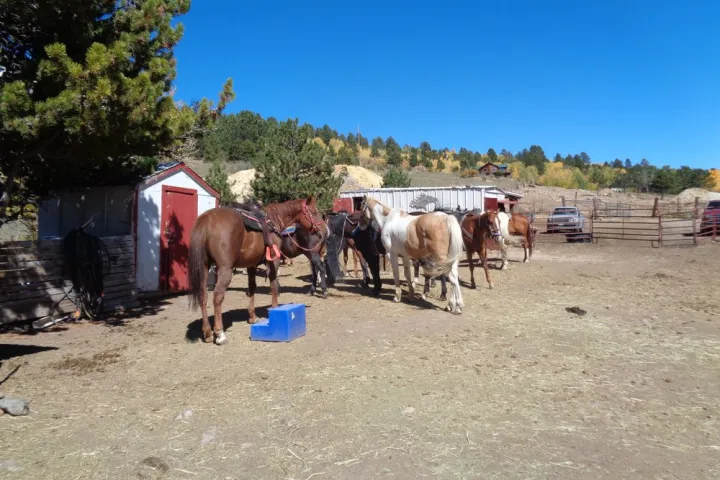 colorado horse trail rides