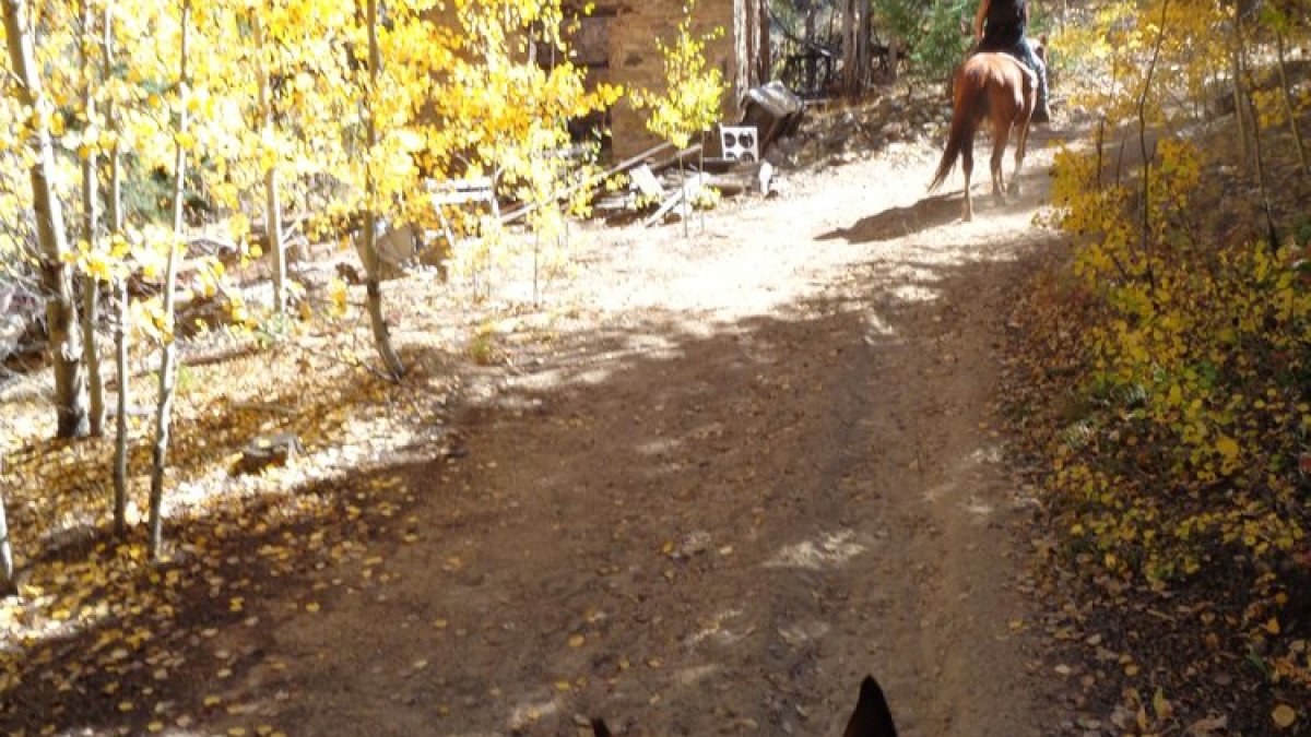 horseback riding idaho springs
