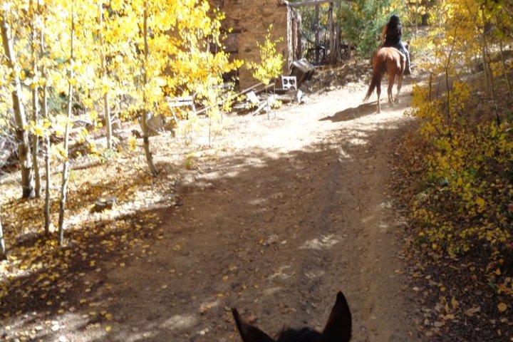 horseback riding idaho springs