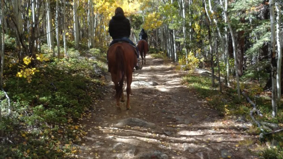 horseback riding near denver colorado
