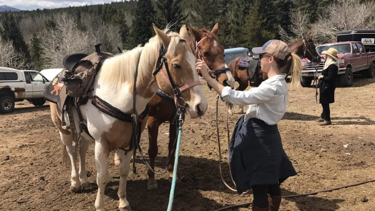 horseback riding denver mountains