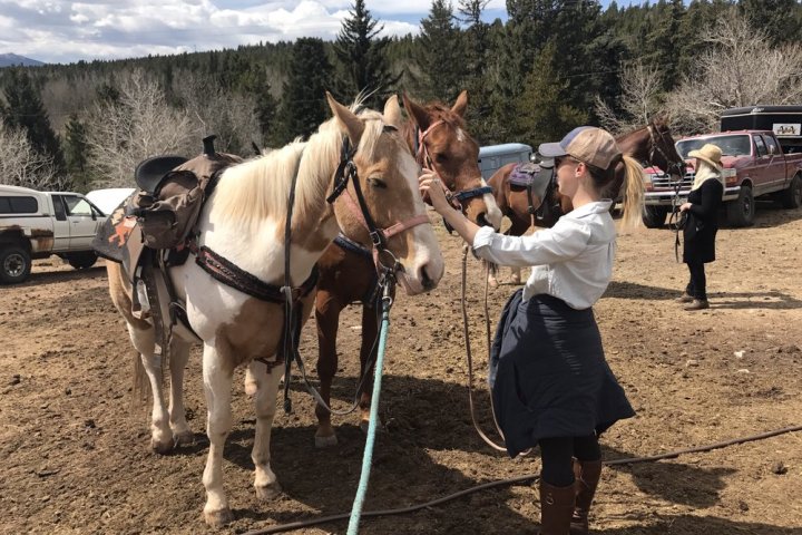 horseback riding denver mountains